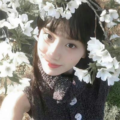 雾中来客 海报