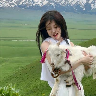 孩子们2022 海报